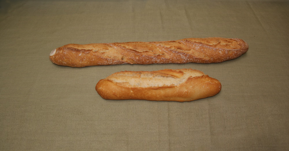 Stokbrood gastro 370g 